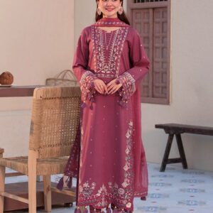 PARTY WEAR EMBROIDERED DHANAK
