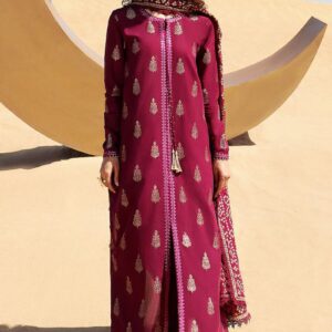 PARTY WEAR EMBROIDERED DHANAK