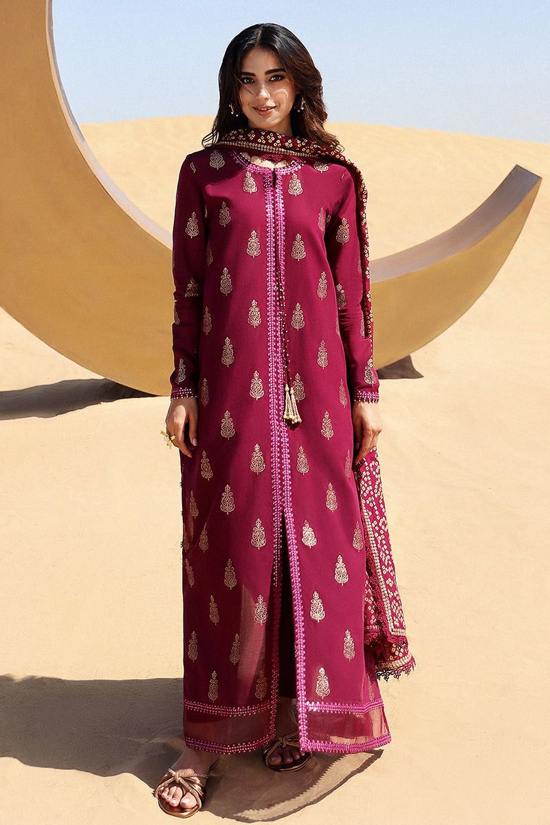 PARTY WEAR EMBROIDERED DHANAK