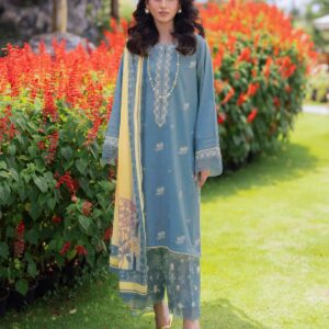 PARTY WEAR EMBROIDERED DHANAK
