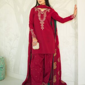 PARTY WEAR EMBROIDERED DHANAK