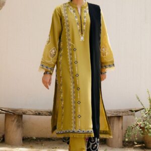 PARTY WEAR EMBROIDERED DHANAK