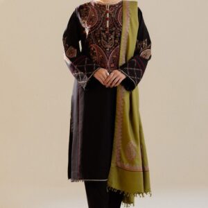 PARTY WEAR EMBROIDERED DHANAK
